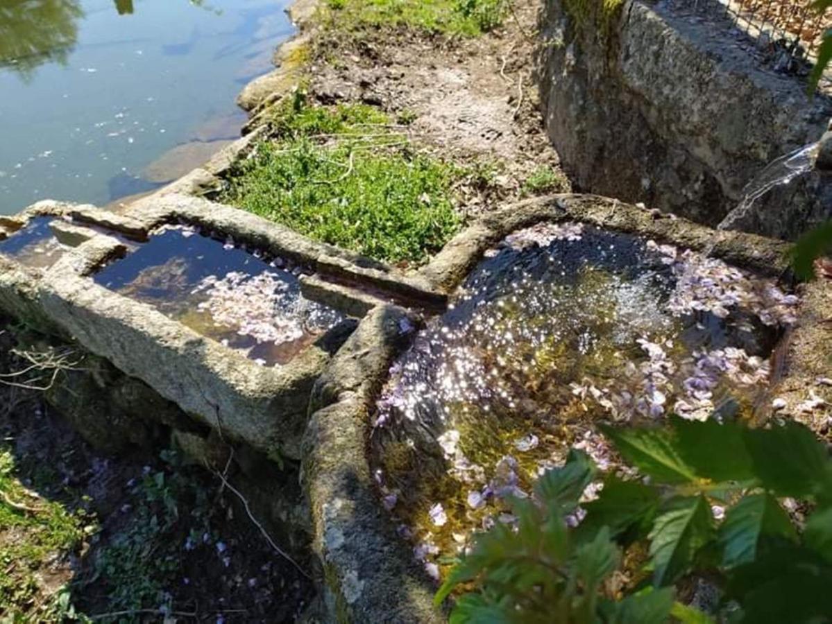 Casa De Sta Comba Villa Barcelos Dış mekan fotoğraf